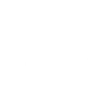 Gausium